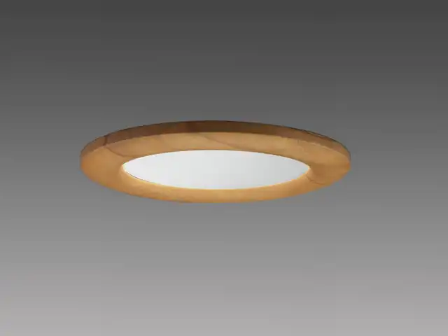 ダウンライト(木枠) 埋込穴Φ150 クラス200 昼白色 EL-D12/3(202NM) AHZ