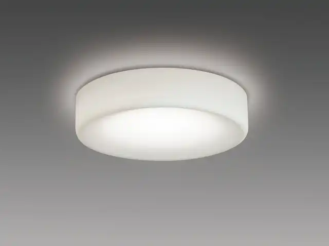 ダウンライト(シリコーンアクセサリ) 埋込穴Φ125 クラス60 温白色 EL-D19/2(062WWM) AHN