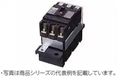 GE102APL 2P 60A F30 プラグインユニット付漏電ブレーカ(経済形) 2P 定格電流60A