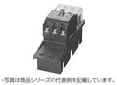 GE102CAPL 2P 60A F30 プラグインユニット付漏電ブレーカ(協約形)2P2E 定格電流60A