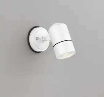 OG254569LR 屋外用スポットライト ランプ交換型 白熱灯50W相当 非調光・電球色 色：オフホワイト