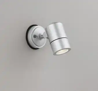 OG254571LR 屋外用スポットライト ランプ交換型 白熱灯50W相当 非調光・電球色 色：マットシルバー