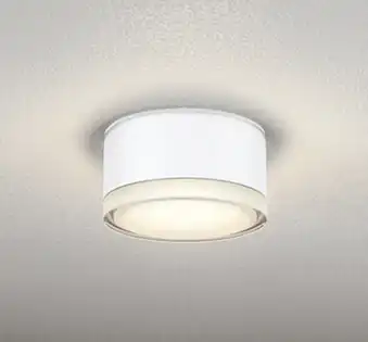 OG254598LR ポーチライト 人感センサなし　白熱灯100W相当 非調光・電球色 防雨型