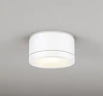 OG254601LR ポーチライト 人感センサなし　白熱灯100W相当 非調光・電球色 防雨型